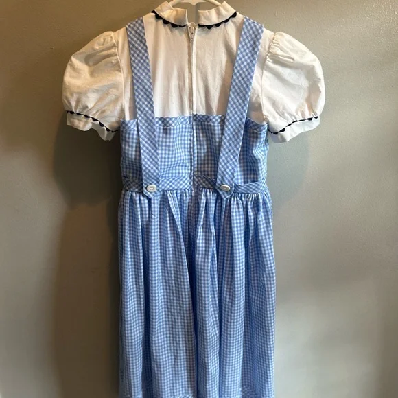 Dorothy Wizard of Oz Costume - Picture 3 of 5